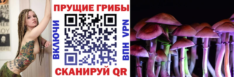 что такое наркотик  Городовиковск  Псилоцибиновые грибы MAGIC MUSHROOMS 